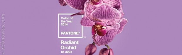 El orquídea radiante, color del año 2014