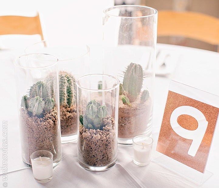 Decoración de boda con cactus